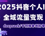 抖音个人IP全域流量变现进阶课，deepseek千川爆单进阶课（更新2026年05月）